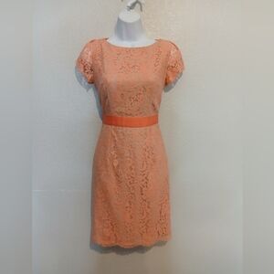 Eliza J Peachy Pink Lace Overlay Sheath Pencil Dress Size 4 Jackie O
